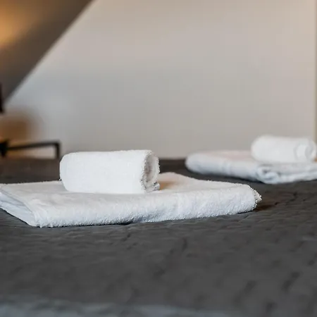 Roof-suite 02 I Aufzug I Bbq I Wifi I Balkon I Tv *